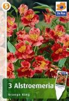 Alstroemeria