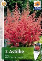 Tawułka (Astilbe spirea)