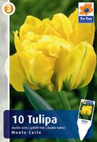 Tulipan pełny wczesny
