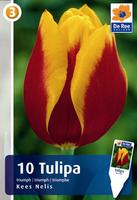 Tulipan Triumph