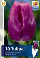 Tulipan Triumph