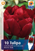 Tulipan pełny późny