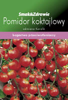 Pomidor koktajlowy