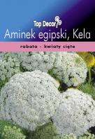 Aminek egipski, Kela