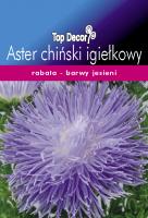 Aster chiński igiełkowy