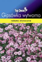 Gipsówka wytworna