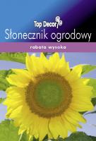 Słonecznik ogrodowy