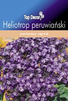 Heliotrop peruwiański