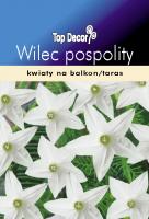 Wilec pospolity