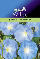 Ipomoea tricolor