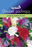 Groszek pachnący