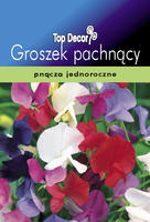 Lathyrus odoratus