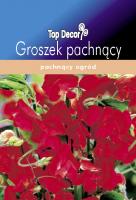 Groszek pachnący