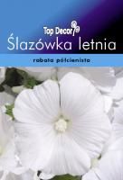 Ślazówka letnia