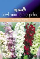 Lewkonia letnia pełna