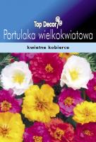 Portulaka wielkokwiatowa