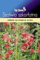 Szałwia szkarłatna (teksańska)