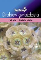 Drakiew gwiaździsta, Wdówka