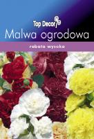 Malwa ogrodowa - pełna