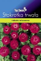 Stokrotka trwała