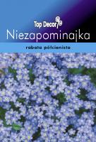 Niezapominajka alpejska