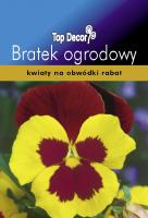 Bratek ogrodowy wielkokwiatowy