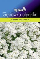 Gęsiówka alpejska