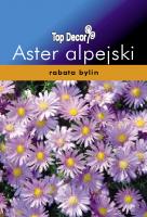 Aster alpejski