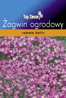 Żagwin ogrodowy