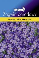 Żagwin ogrodowy