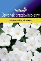 Dzwonek brzoskwiniolistny