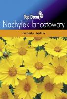 Nachyłek lancetowaty