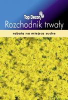 Rozchodnik trwały