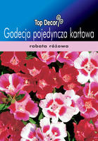 Godetia dwarf single mixed