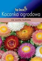 Kocanka ogrodowa