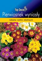 Pierwiosnek wyniosły