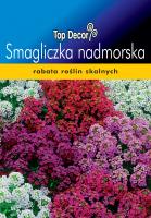 Smagliczka nadmorska