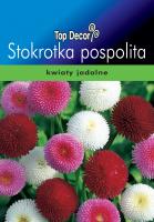 Stokrotka pospolita