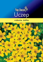 Bidens aurea