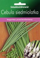 Cebula siedmiolatka – na szczypior