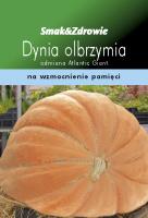 Dynia olbrzymia