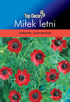 Adonis aestivalis