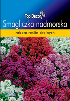 Lobularia maritima