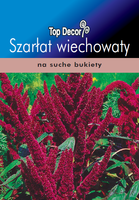 Amaranthus hypohondriacus