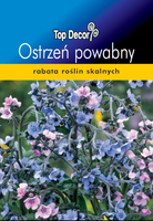 Cynoglossum amabile