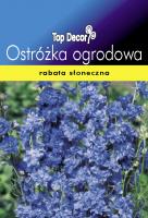 Delphinium cultorum