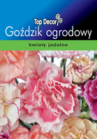 Dianthus caryophyllus