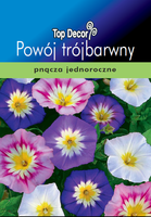 Convolvulus tricolor