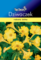 Mirabilis jalapa
