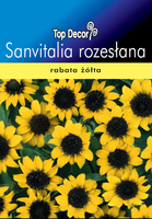 Sanvitalia procumbens